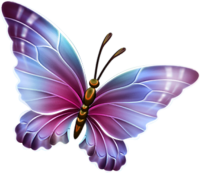 a colorful butterfly